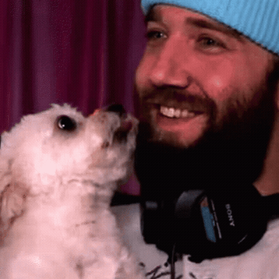 Man In Headphones And Blue Hat Kissing White Dog GIF