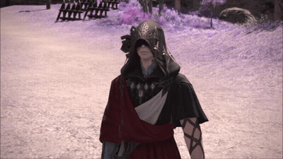 Man In Hooded Cape In Field Of Purple Flowers GIF