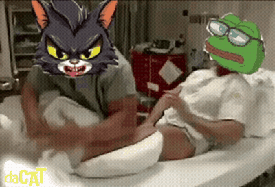 Man In Hospital Bed With Cat And Frog On Heads GIF