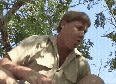 Man In Khaki Shirt Sitting In Tree Holding Baby GIF