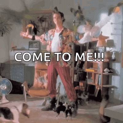 Man In Living Room With Cats GIF