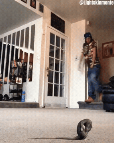 Man In Living Room With #Lightskinmonte GIF