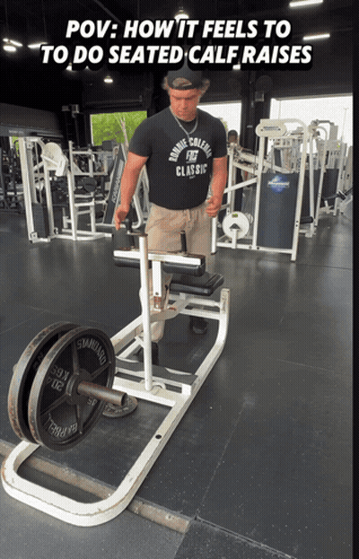 Man In Marine College Classic Shirt Doing Seated Calf Raises GIF