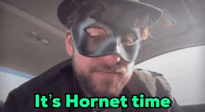 Man In Mask In Car Saying It's Hornet Time GIF