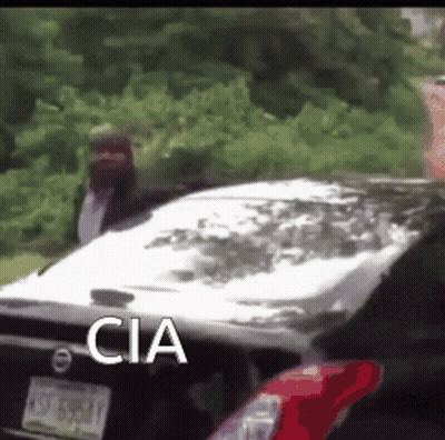 Man In Mask Next To Car Saying CIA GIF