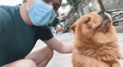 Man In Mask Petting Dog On Street GIF