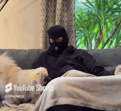 Man In Mask Sitting On Couch With Dog GIF