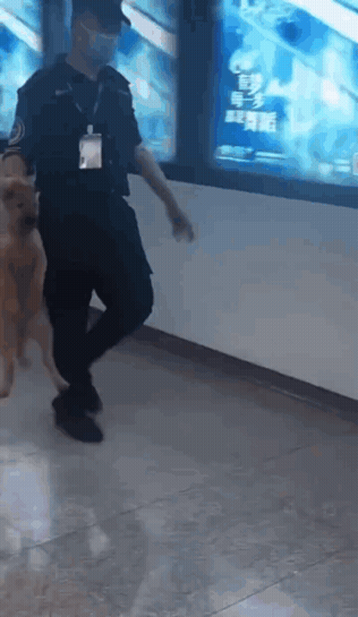 Man In Mask Walking Dog In Hallway GIF