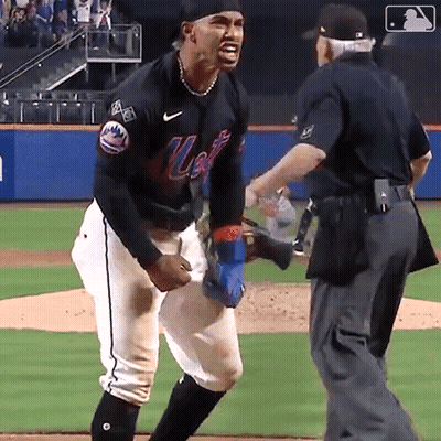 Man In Mets Jersey On Baseball Field With Referee GIF