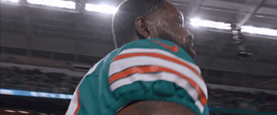 Man In Miami Dolphins Jersey Standing In Stadium GIF
