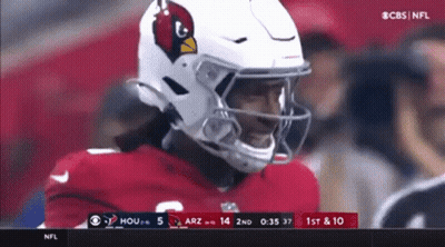Man In Miami Dolphins Vest In Front Of Crowd GIF