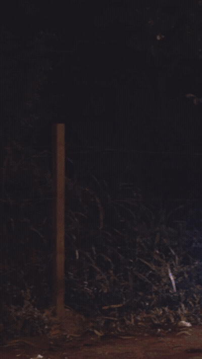 Man In Miami Jersey Carrying Child GIF