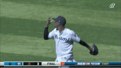 Man In Miami Jersey GIF