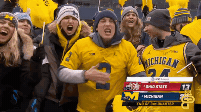 Man In Michigan Jersey Stands In Crowd GIF