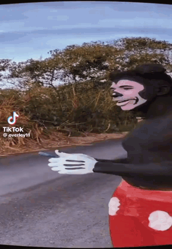 Man In Mickey Mouse Costume GIF