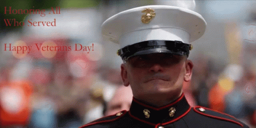 Man In Military Uniform Honoring Veterans Day GIF