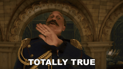 Man In Military Uniform Totally True GIF