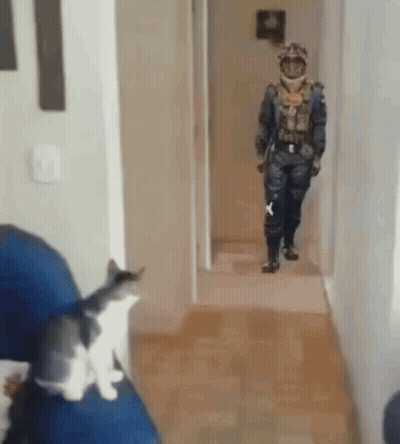 Man In Military Uniform Walking Past Cat On Couch GIF