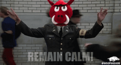 Man In Military Uniform With Red Boar Mask Saying Remain Calm GIF