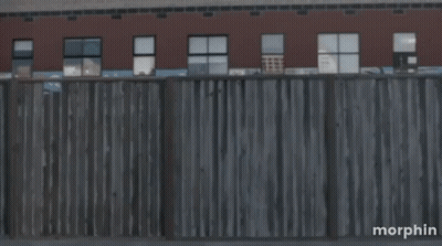 Man In Milwaukee Jersey GIF