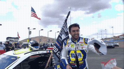 Man In Napa Jacket Holding Flag GIF