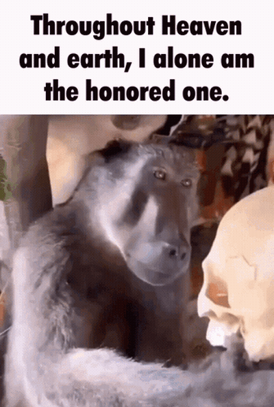 Man In Necklace And Blue Shirt Making A Face GIF