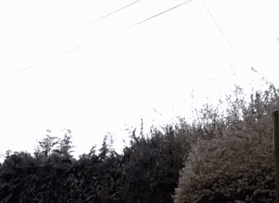 Man In Nike Shirt With Letter S In Crowd GIF