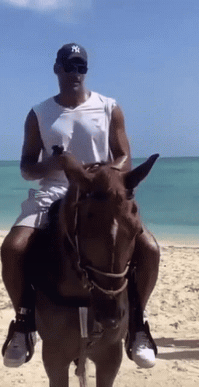 Man In NY Hat Riding Horse GIF