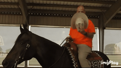 Man In Orange Shirt Riding Black Horse GIF