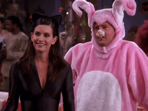 Man In Pink Bunny Costume And Woman In Cat Costume GIF