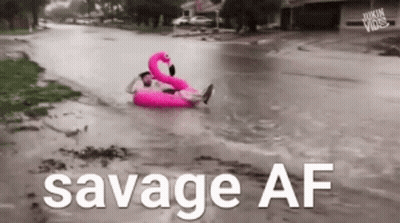 Man In Pink Flamingo Float GIF