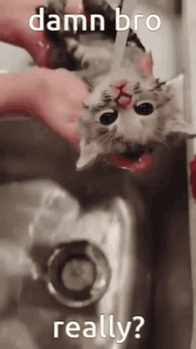 Man In Pink Fur Coat Giving Thumbs Up GIF