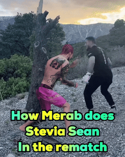 Man In Pink Shorts Beside Tree With How Merab Does Stevia Sean In The Rematch GIF