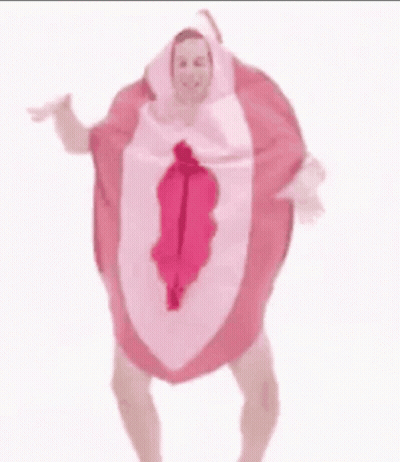 Man In Pink Vagina Costume GIF