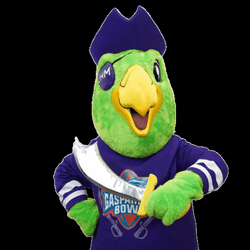 Man In Pirate Parrot Costume Holding Sword GIF