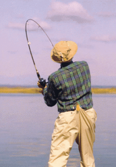 Man In Plaid Shirt And Hat Fishing GIF