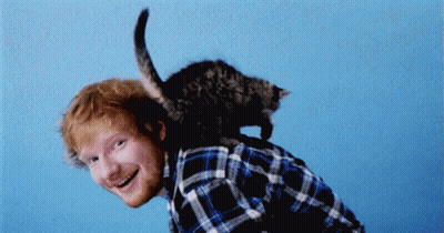Man In Plaid Shirt Holding Cat On Back GIF
