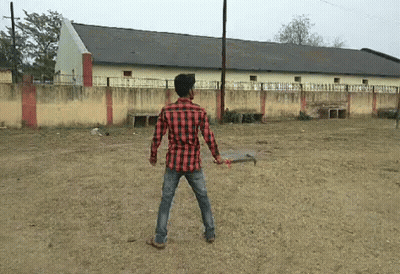 Man In Plaid Shirt Holding Sword In Field GIF