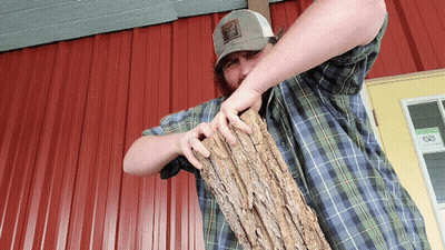 Man In Plaid Shirt Holding Tree Trunk In Front Of Red Building GIF