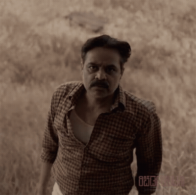 Man In Plaid Shirt In Field GIF
