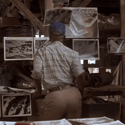 Man In Plaid Shirt Looking At Pictures GIF