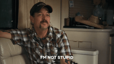 Man In Plaid Shirt Saying I'm Not Stupid GIF