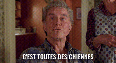 Man In Plaid Shirt Says C'est Toutes Des Chiennes GIF