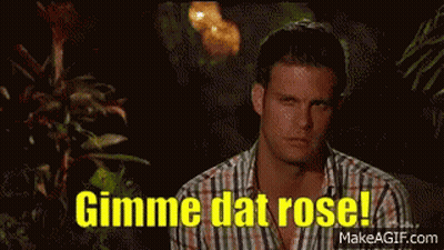 Man In Plaid Shirt Says Gimme Dat Rose GIF