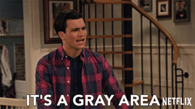 Man In Plaid Shirt Says It's A Gray Area On Netflix GIF