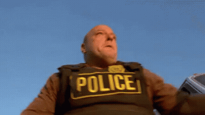 Man In Police Vest Holding Gun GIF