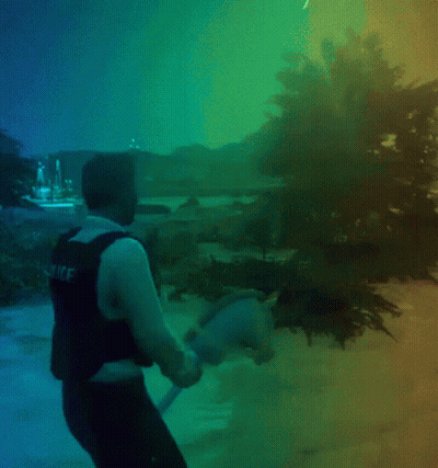 Man In Police Vest GIF