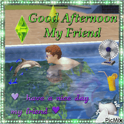Man In Pool With Dolphin Says Good Afternoon My Friend GIF