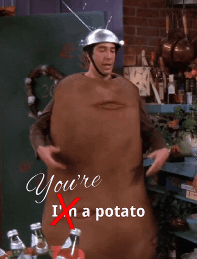 Man In Potato Costume Saying You're I'm A Potato GIF