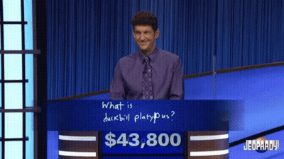 Man In Purple Shirt And Tie At Jeopardy Board GIF